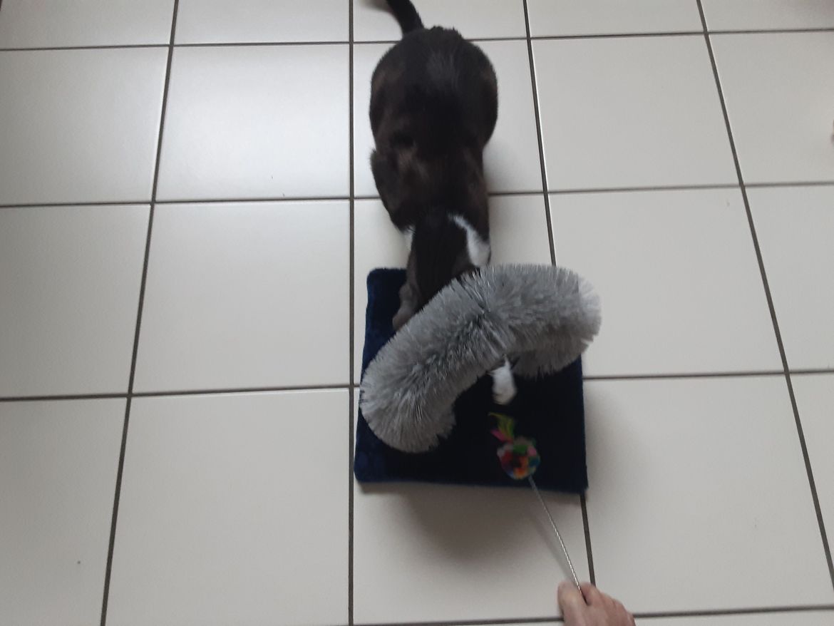 20220922_095323.jpg 20220922_095323.jpg