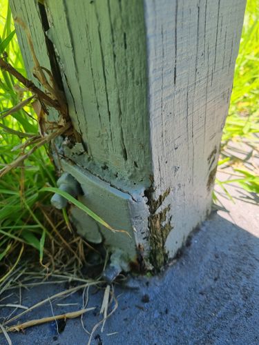 1000042380.jpg 1000042380.jpg