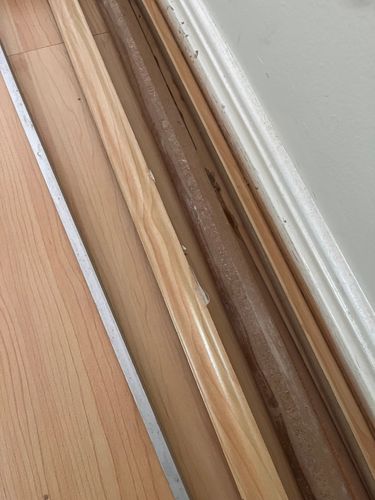 IMG_1247.jpeg IMG_1247.jpeg