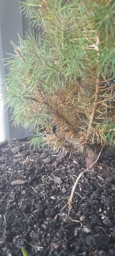 20241224_185907.jpg 20241224_185907.jpg