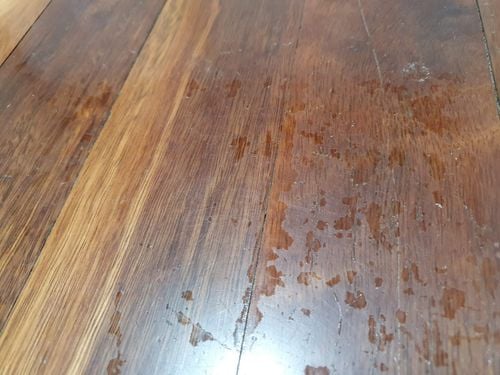 20220929_215431.jpg 20220929_215431.jpg