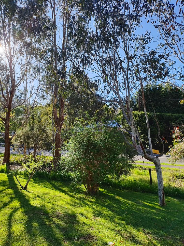 1000004221.jpg 1000004221.jpg