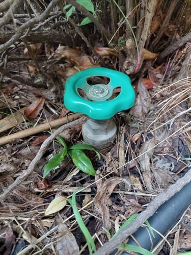 20210907_160603.jpg 20210907_160603.jpg