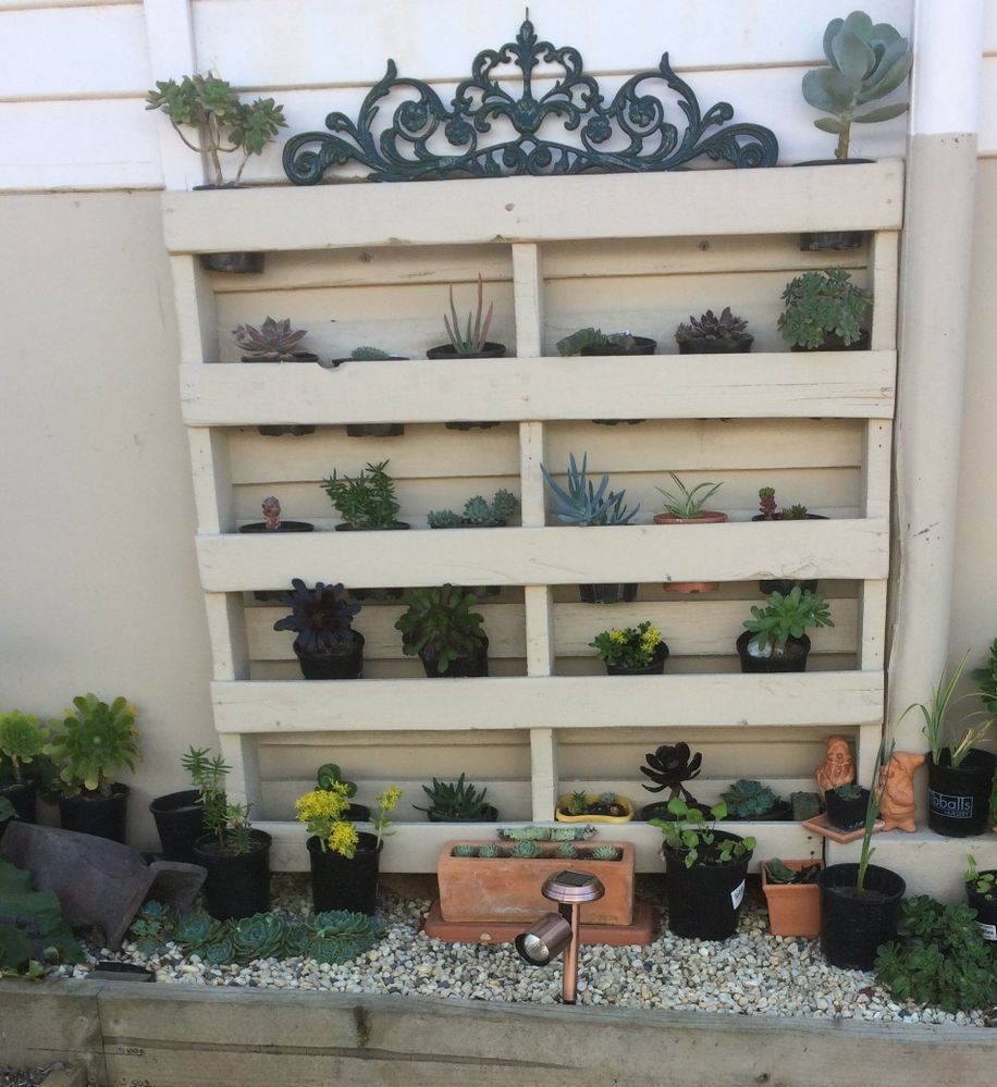 StevieB_0-1630375728006.jpeg StevieB_0-1630375728006.jpeg