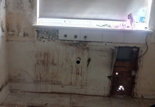 IMAG1571~2.jpg IMAG1571~2.jpg