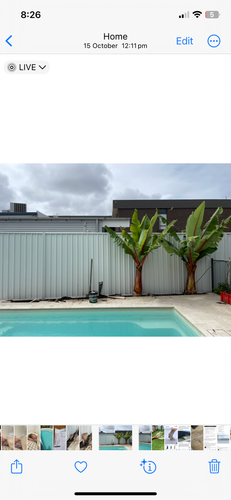 IMG_7731.png IMG_7731.png