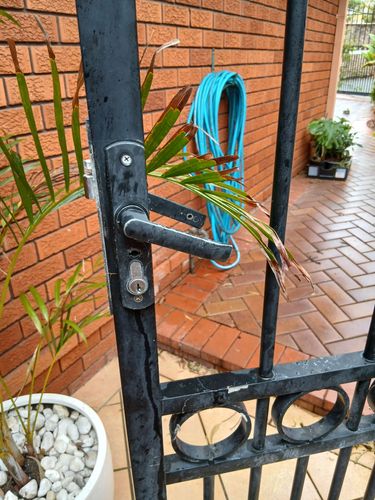 1000015554.jpg 1000015554.jpg