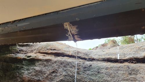 20250110_110518.jpg 20250110_110518.jpg