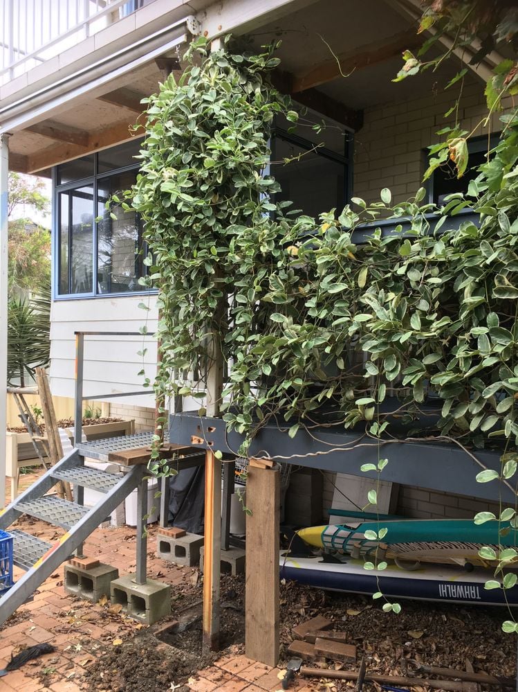 IMG_3126.JPG IMG_3126.JPG