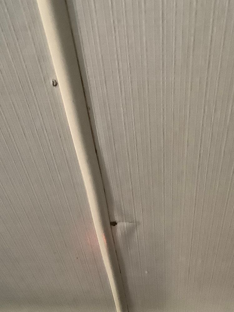 IMG_3558.jpeg IMG_3558.jpeg