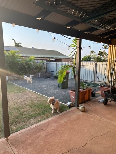 IMG_4227.jpeg IMG_4227.jpeg