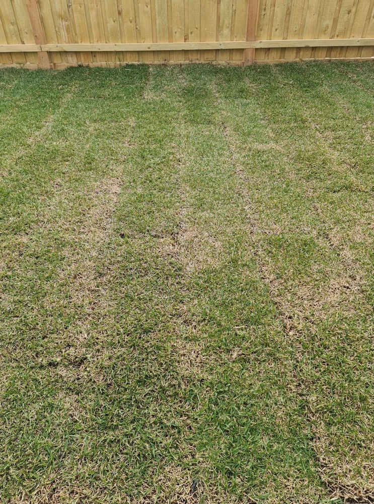 1632883064646.JPEG 1632883064646.JPEG