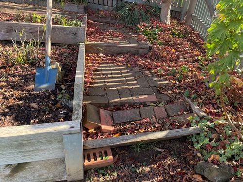 IMG_9560.jpeg IMG_9560.jpeg