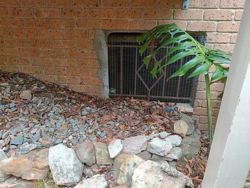 IMG20241105132305.jpg IMG20241105132305.jpg