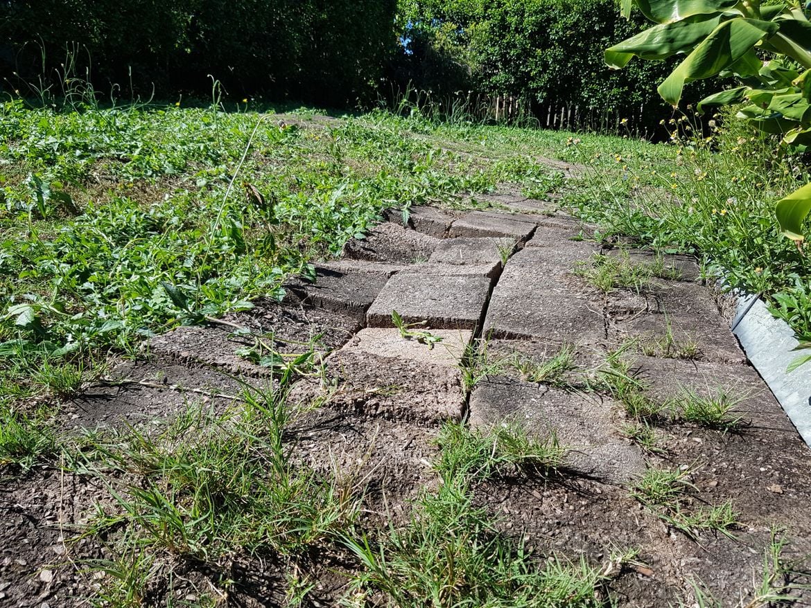 20200421_122327.jpg 20200421_122327.jpg