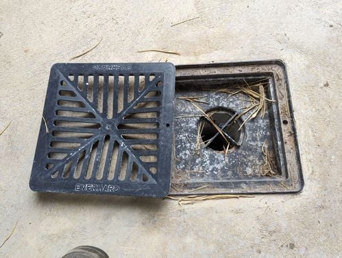 1000005115.jpg 1000005115.jpg