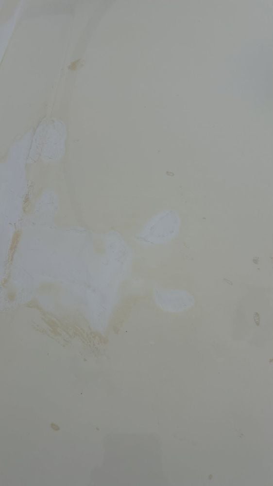 484585332_1004718757796456_2952314524097443586_n.jpg 484585332_1004718757796456_2952314524097443586_n.jpg