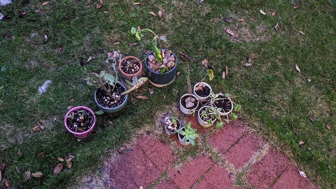 PXL_20240730_094751653.jpg PXL_20240730_094751653.jpg