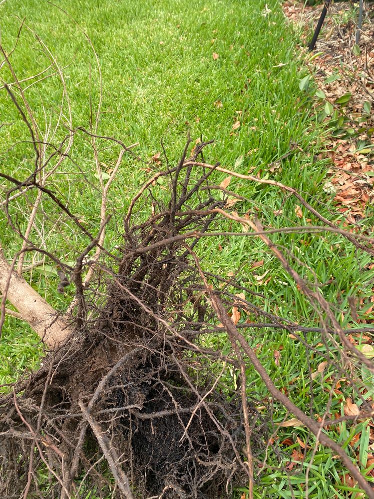 IMG_8947.jpg IMG_8947.jpg