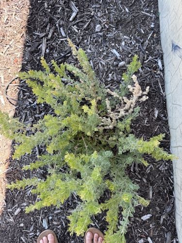 IMG_0883.jpeg IMG_0883.jpeg