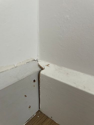 6DE0D7F5-983B-499C-B64C-34C876A38E09.jpeg 6DE0D7F5-983B-499C-B64C-34C876A38E09.jpeg