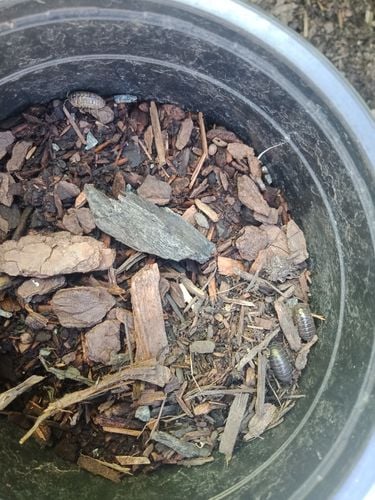 IMG20200911104242.jpg IMG20200911104242.jpg