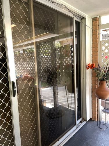 IMG_5063.jpeg IMG_5063.jpeg