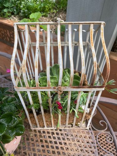 3C35F633-36B9-47AE-82FD-77F1DC57AECF.jpeg 3C35F633-36B9-47AE-82FD-77F1DC57AECF.jpeg