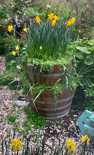 3C45D91B-97C3-4608-B27C-737E0B7A1522.jpeg 3C45D91B-97C3-4608-B27C-737E0B7A1522.jpeg