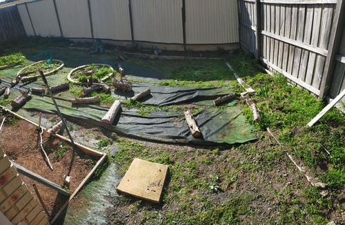 IMG20230730134533.jpg IMG20230730134533.jpg