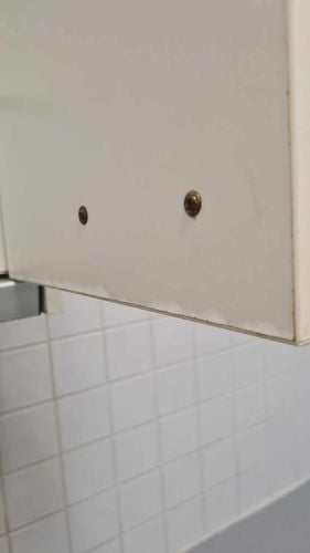 476122462_610906671802591_1610496979545284177_n.jpg 476122462_610906671802591_1610496979545284177_n.jpg