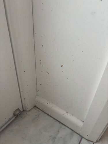 IMG_5015.jpeg IMG_5015.jpeg