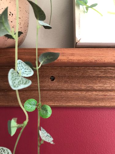 FF81F778-5F8D-4D88-9783-2A355537F5F7.jpeg FF81F778-5F8D-4D88-9783-2A355537F5F7.jpeg