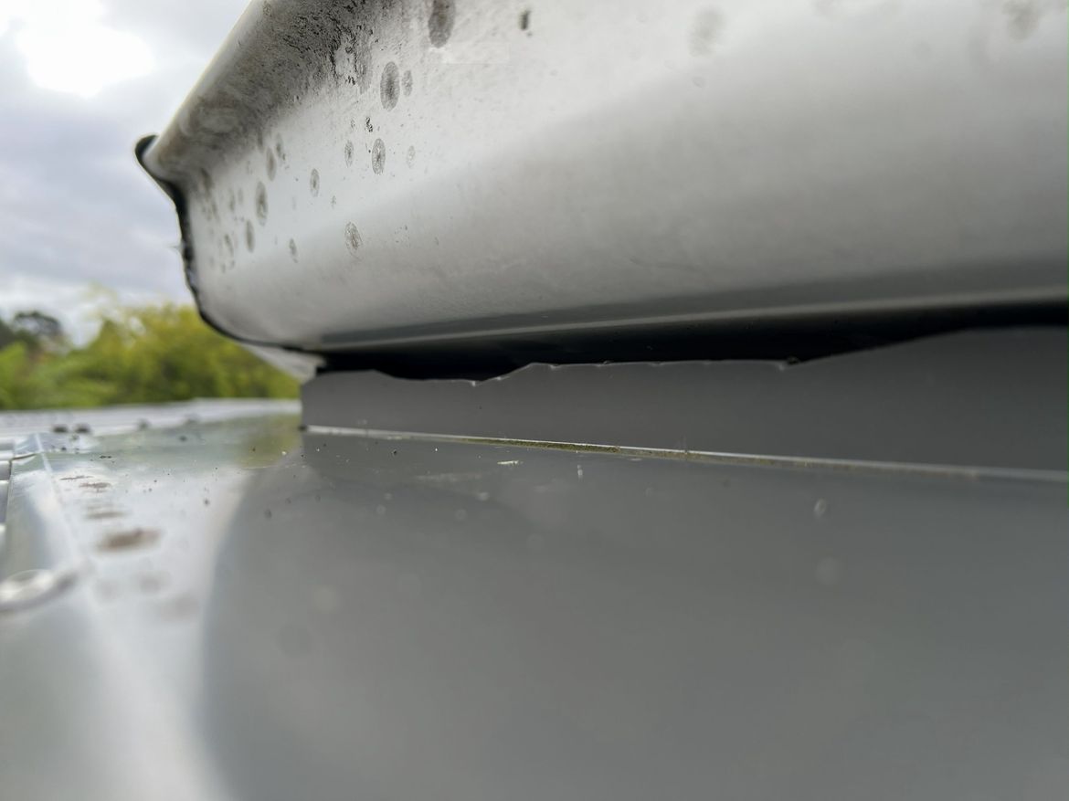 IMG_7937.jpg IMG_7937.jpg