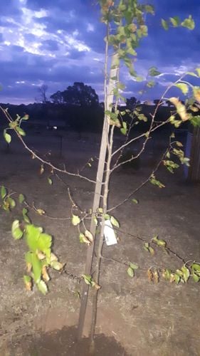 20201217_210820.jpg 20201217_210820.jpg