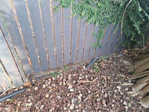 1000073142.jpg 1000073142.jpg