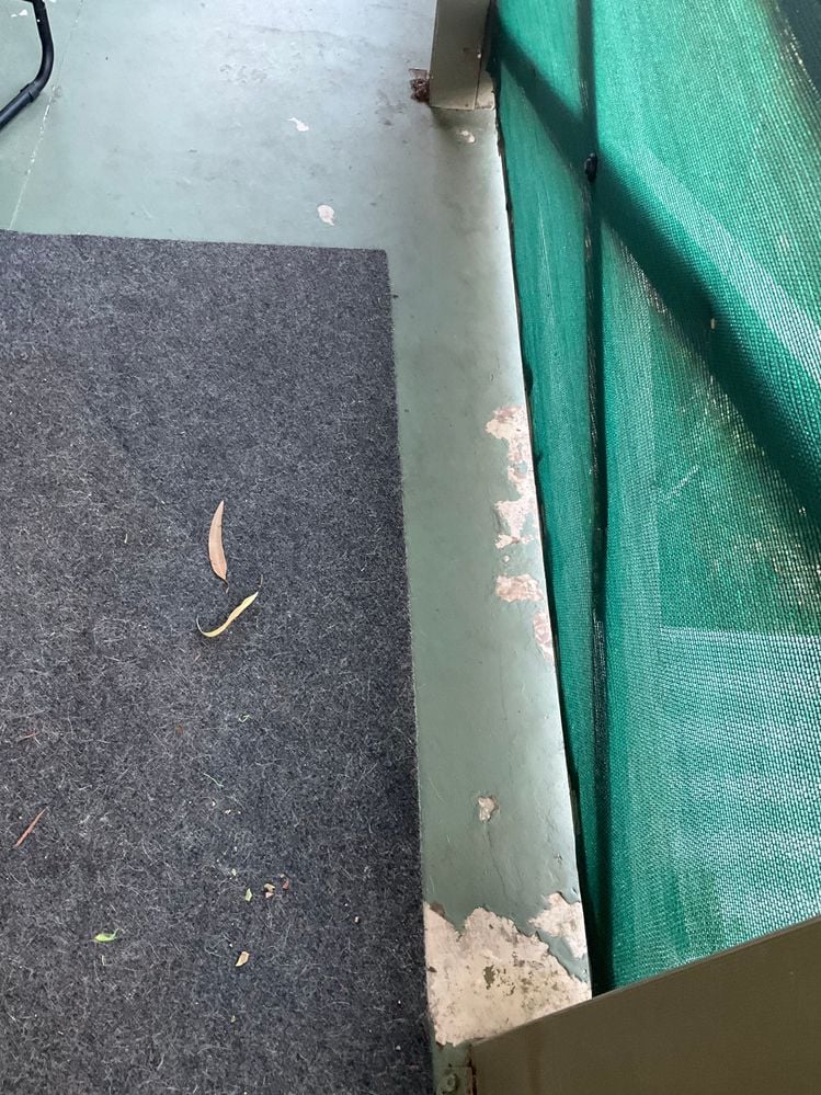 IMG_0664.jpeg IMG_0664.jpeg