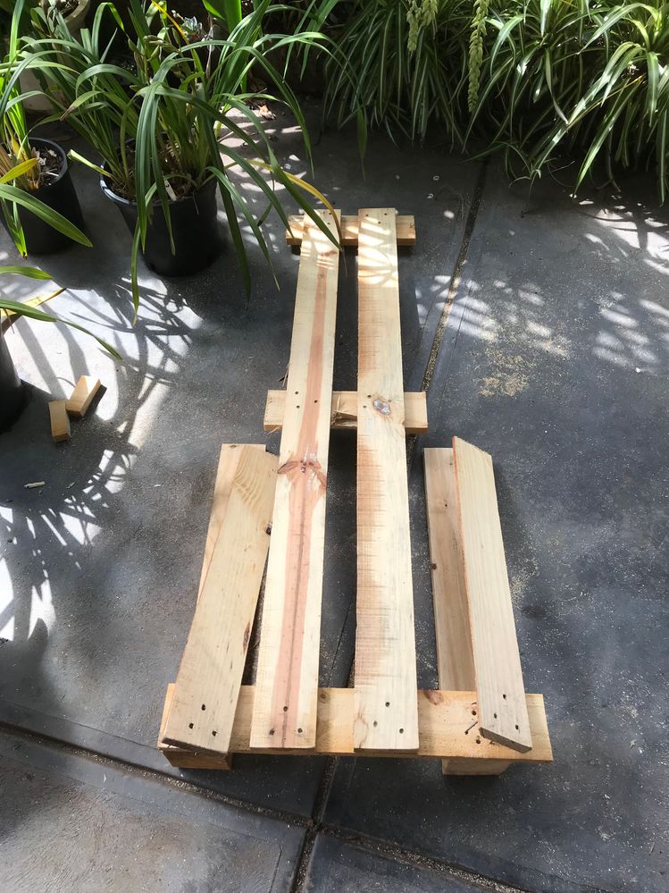 41EBC25A-953B-4A43-BEA8-D1879B028E74.jpeg 41EBC25A-953B-4A43-BEA8-D1879B028E74.jpeg