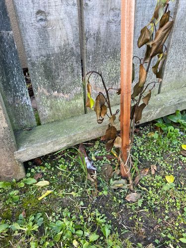 IMG_8532.jpeg IMG_8532.jpeg