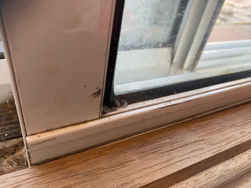 IMG_5686.jpg IMG_5686.jpg