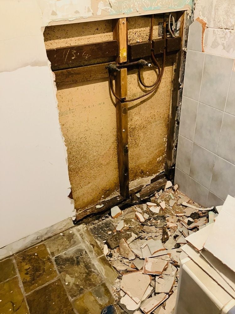 IMG_0398.jpg IMG_0398.jpg