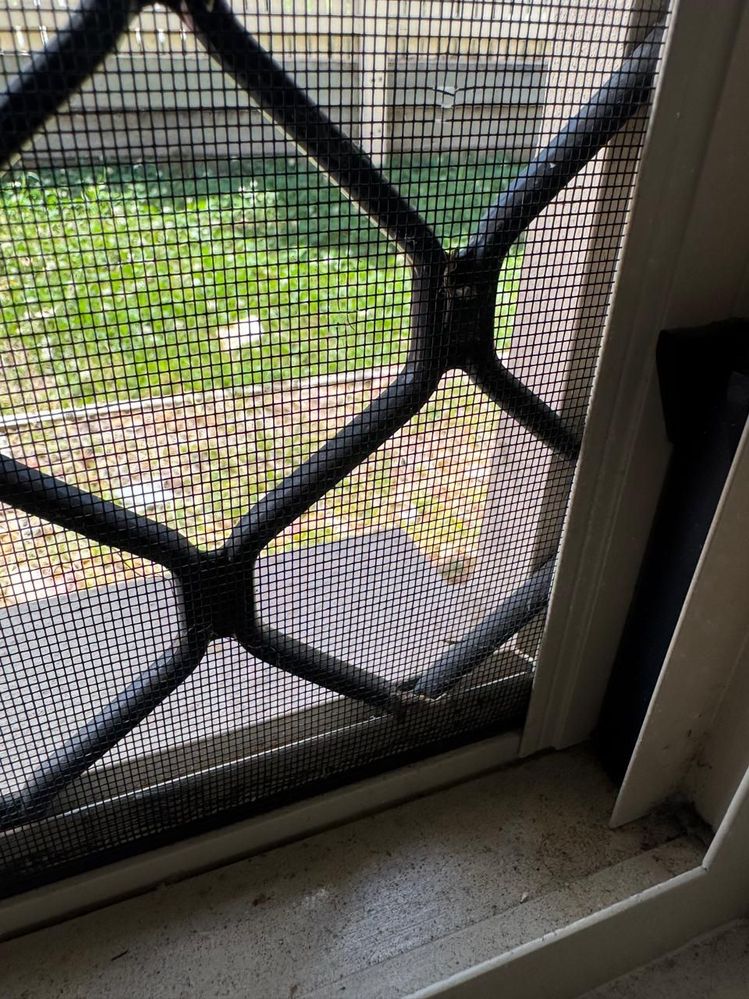 window5.jpeg window5.jpeg