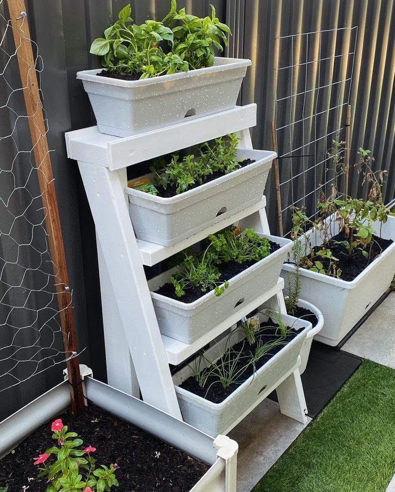 Vertical garden.jpeg Vertical garden.jpeg