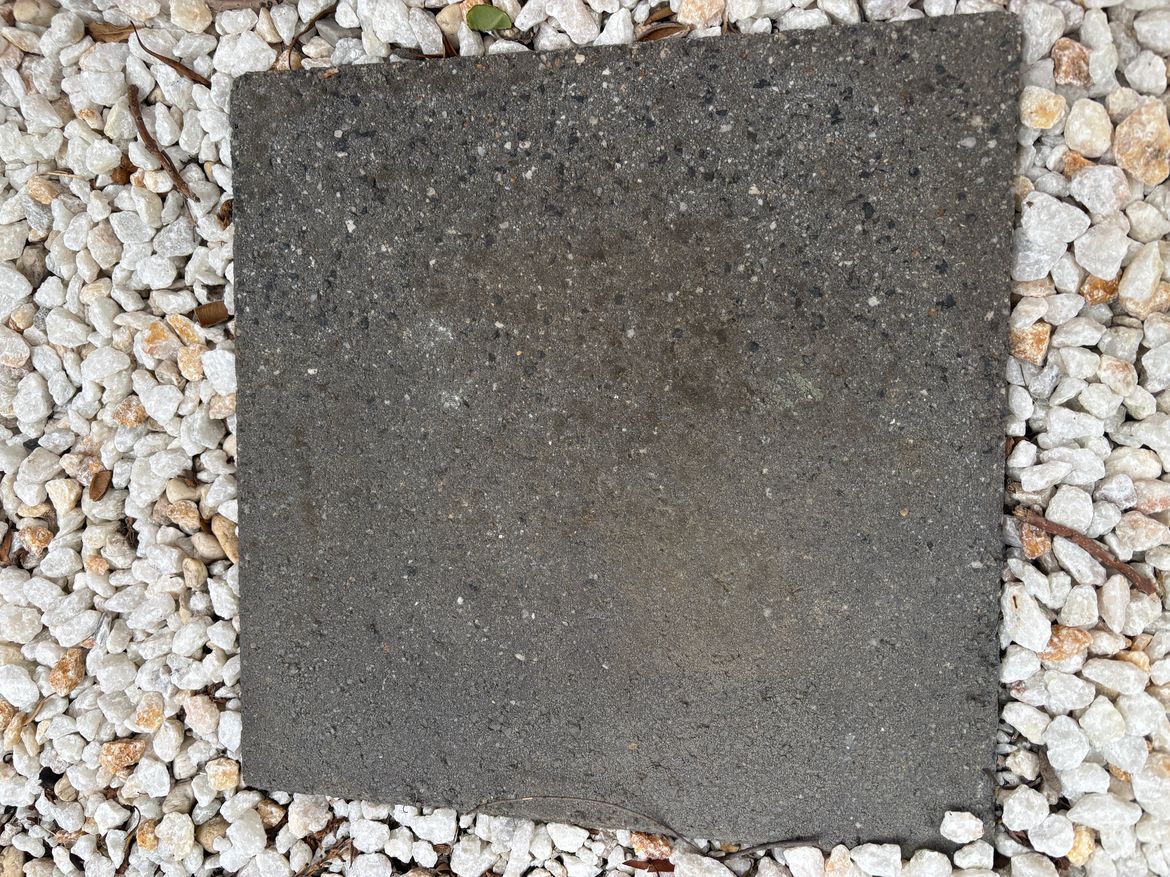 IMG_1514.JPG IMG_1514.JPG