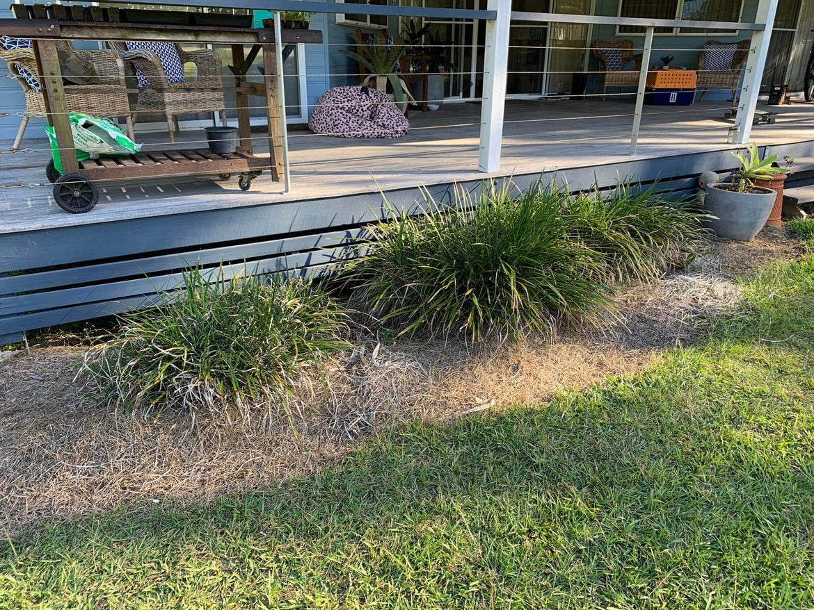 IMG_5995.jpg IMG_5995.jpg