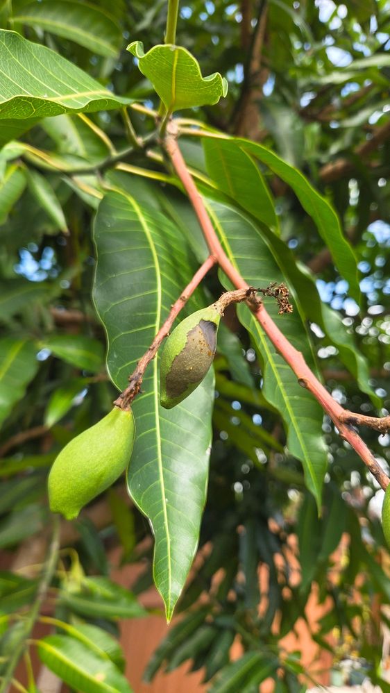 20251112_152012.jpg 20251112_152012.jpg