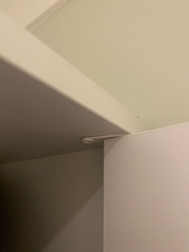 IMG_6811.jpeg IMG_6811.jpeg