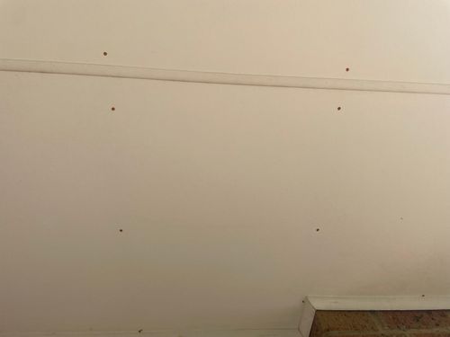 IMG_4023.jpeg IMG_4023.jpeg