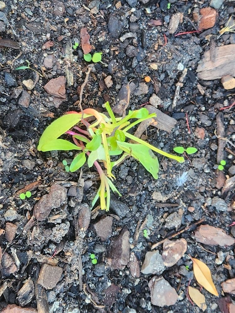 20230415_072735.jpg 20230415_072735.jpg