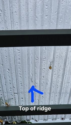 1000020865.jpg 1000020865.jpg